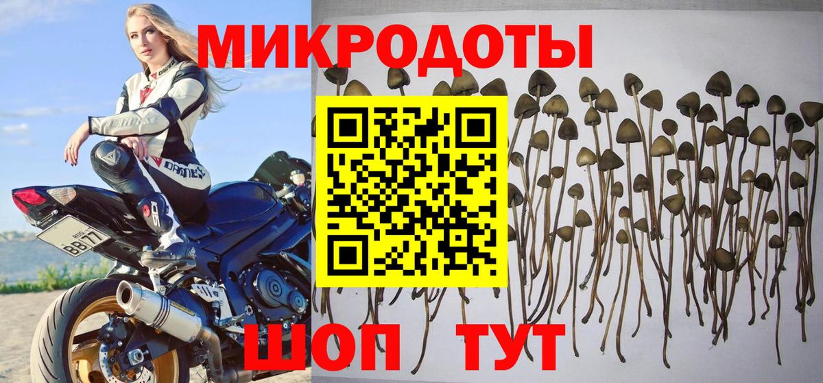 Таганрог  Галлюциногенные грибы MAGIC MUSHROOMS  купить  сайты  Вход с VPN 